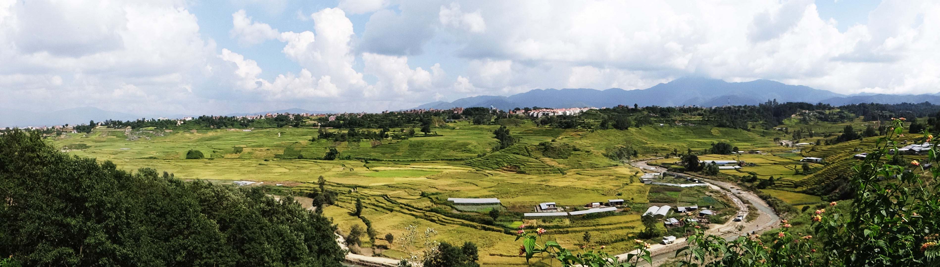 Panorama